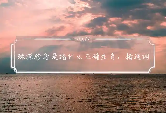 殊深轸念是什么生肖