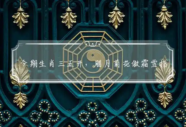 今期生肖三五开,腊月菊花傲霜雪是什么生肖