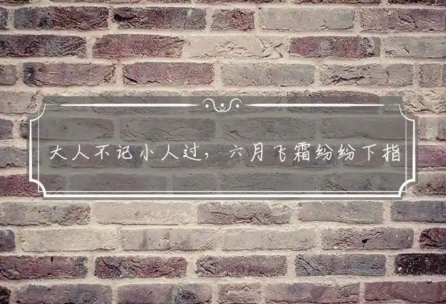 大人不记小人过,六月飞霜纷纷下是什么生肖