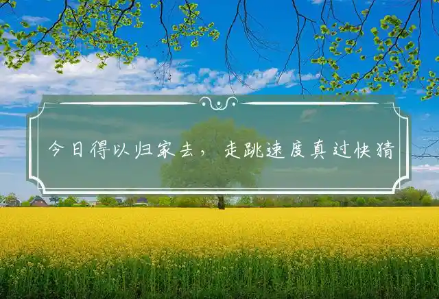 今日得以归家去,走跳速度真过快是什么生肖