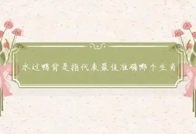 水过鸭背是什么生肖