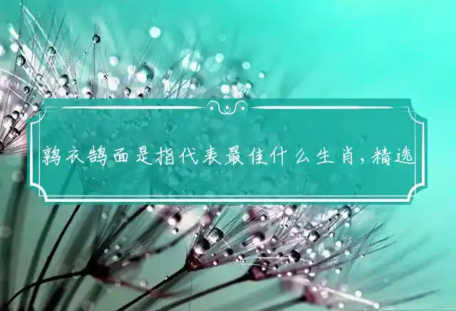 鹑衣鹄面是什么生肖