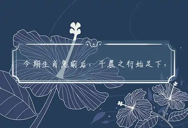 今期生肖兔前后,千晨之行始足下,如今只是意中猜,何故伯乐不开口是什么生肖