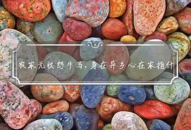 农家无收怨牛马,身在异乡心在家是什么生肖