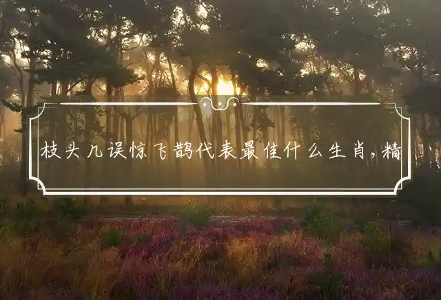 枝头几误惊飞鹊是什么生肖