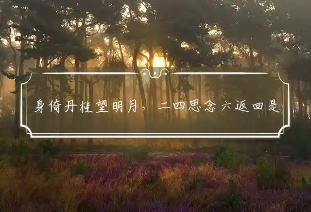 身倚丹桂望明月,二四思念六返回是什么生肖