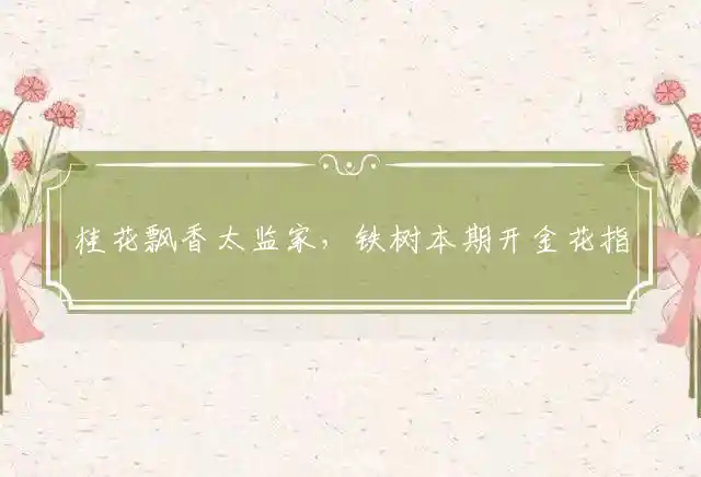 桂花飘香太监家,铁树本期开金花是什么生肖