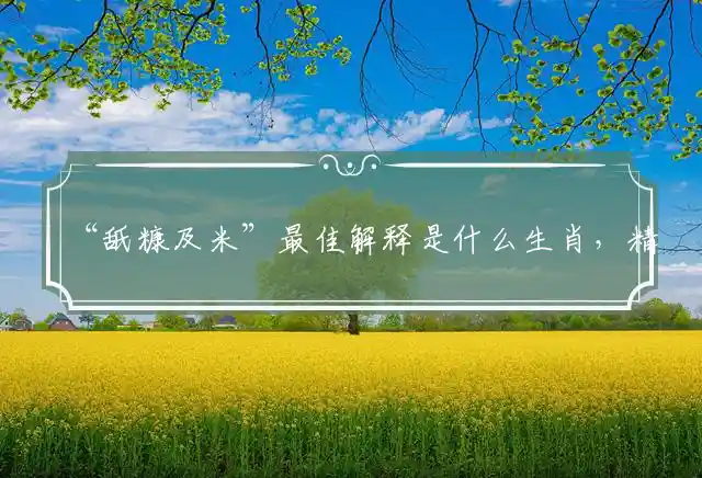 舐糠及米是什么生肖