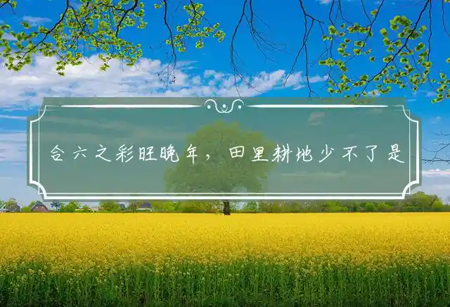合六之彩旺晚年,田里耕地少不了是什么生肖