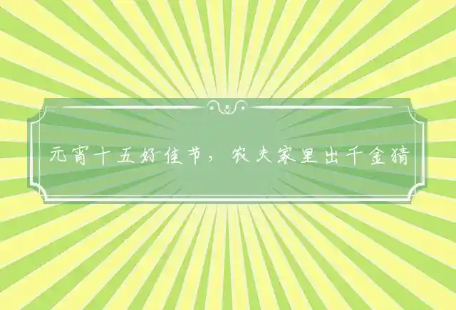 元宵十五好佳节,农夫家里出千金是什么生肖