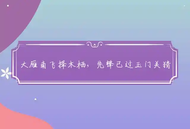 大雁南飞择木栖,先锋已过玉门关是什么生肖