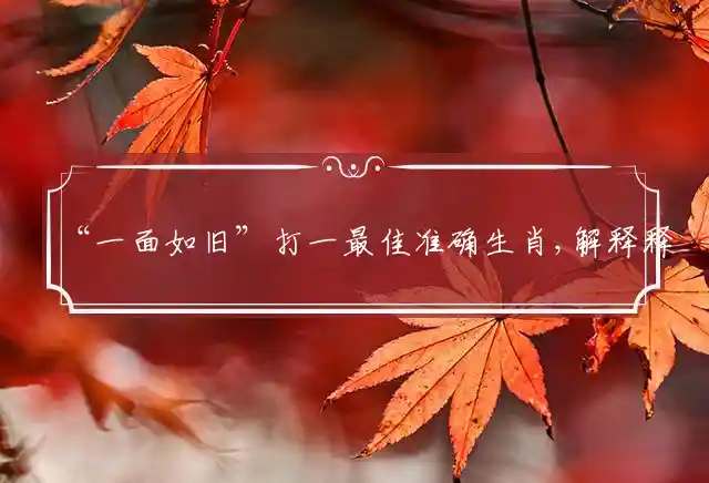 一面如旧是什么生肖