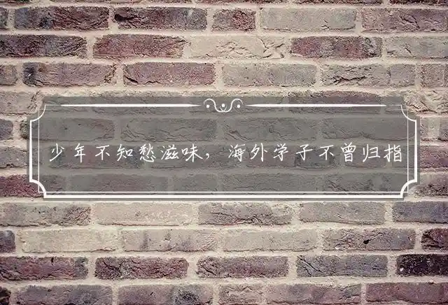 少年不知愁滋味,海外学子不曾归是什么生肖