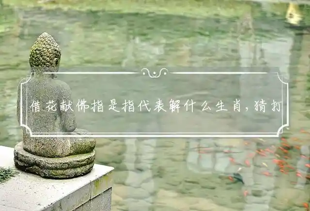 借花献佛是什么生肖