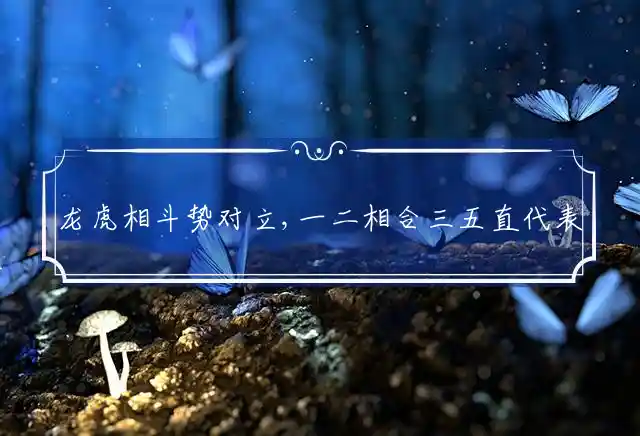 龙虎相斗势对立,一二相合三五直是什么生肖