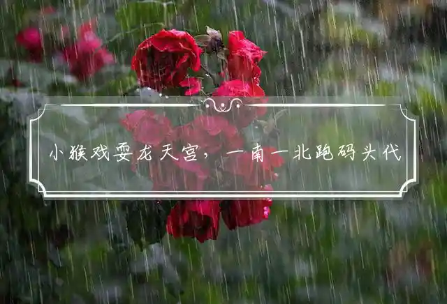 小猴戏耍龙天宫,一南一北跑码头是什么生肖