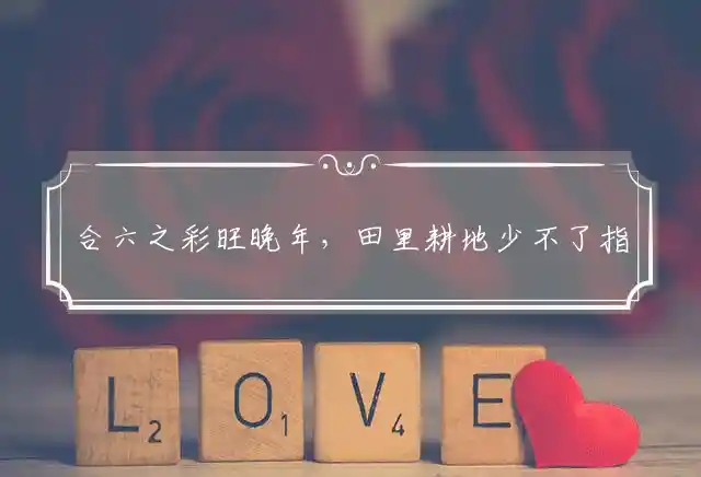 合六之彩旺晚年,田里耕地少不了是什么生肖