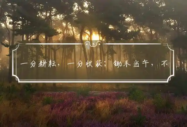 一分耕耘,一分收获；锄禾当午,不怕流汗是什么生肖