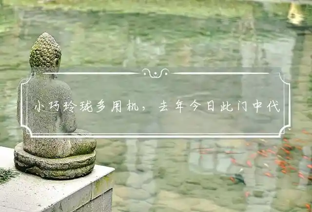 小巧玲珑多用机,去年今日此门中是什么生肖