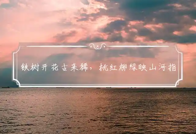 铁树开花古来稀,桃红柳绿映山河是什么生肖