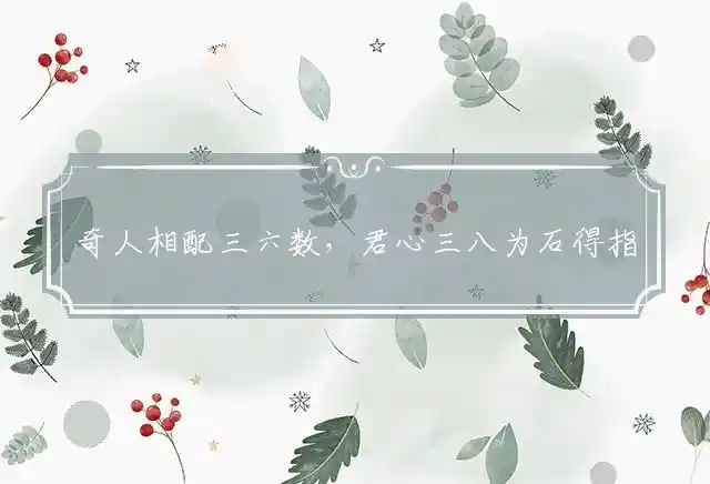 奇人相配三六数,君心三八为石得是什么生肖