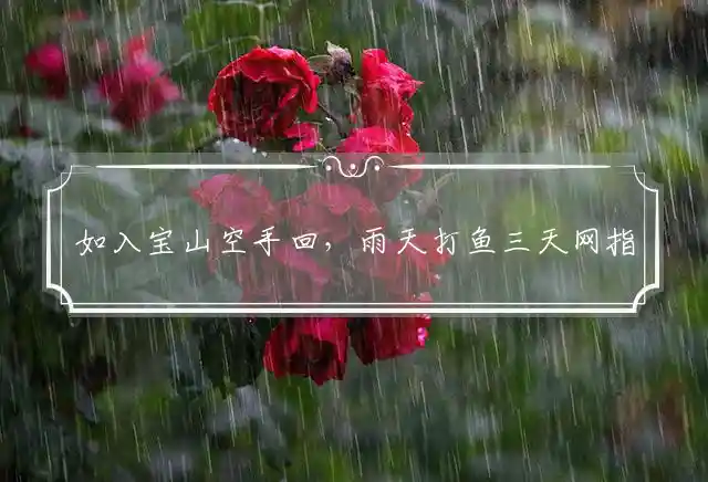 如入宝山空手回,雨天打鱼三天网是什么生肖