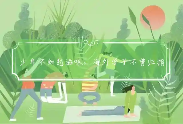 少年不知愁滋味,海外学子不曾归是什么生肖