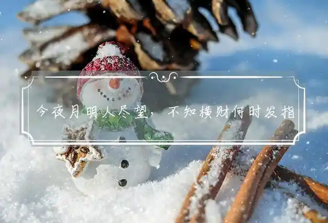 今夜月明人尽望,不知横财何时发是什么生肖