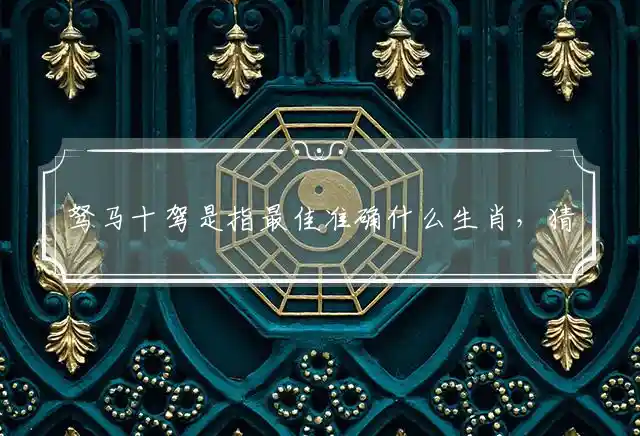 驽马十驾是什么生肖