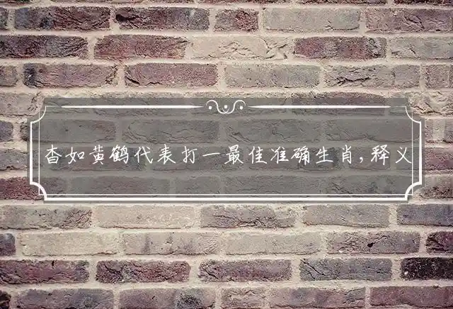 杳如黄鹤是什么生肖