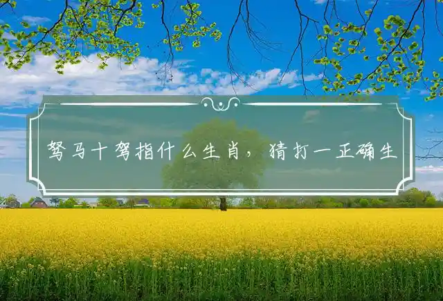 驽马十驾是什么生肖