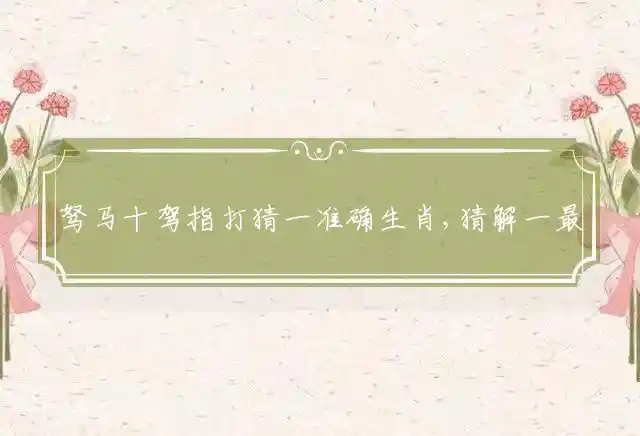 驽马十驾是什么生肖