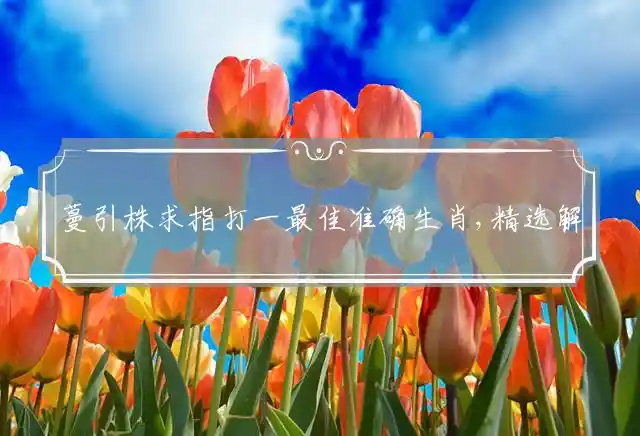 蔓引株求是什么生肖