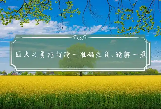 匹夫之勇是什么生肖