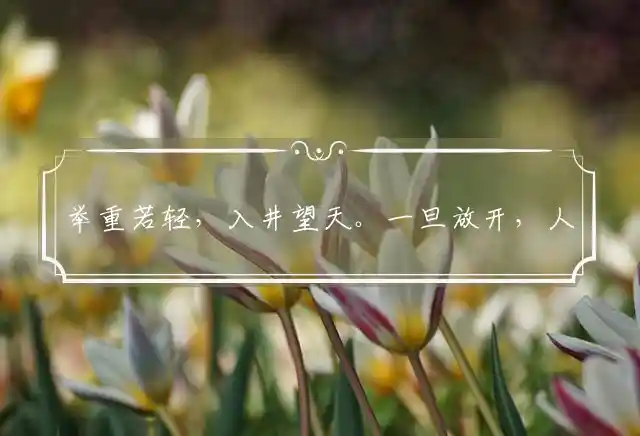 举重若轻,入井望天。一旦放开,人急智生是什么生肖