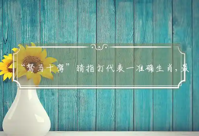 驽马十驾是什么生肖