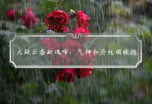 九疑云杳断魂啼,气神和丹结明珠是什么生肖