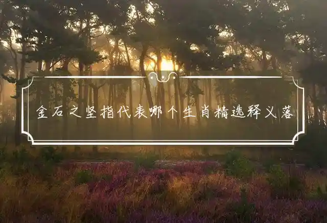 金石之坚是什么生肖