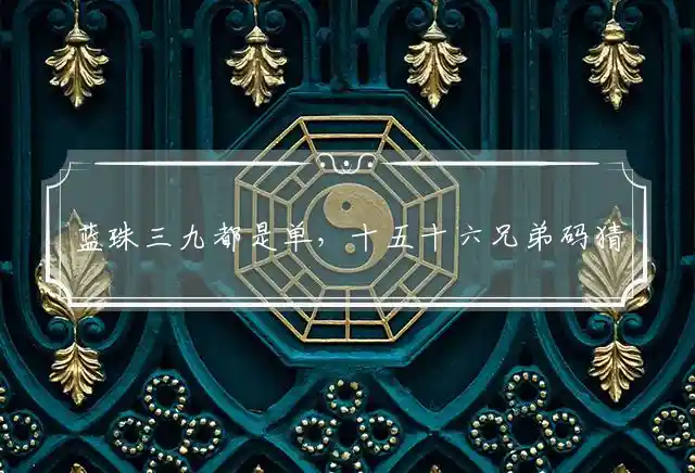 蓝珠三九都是单,十五十六兄弟码是什么生肖