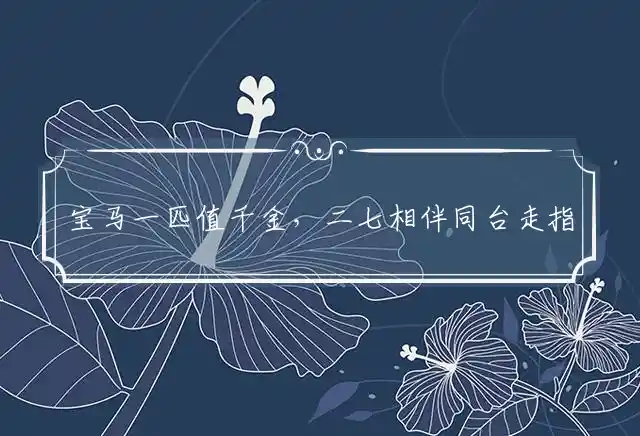 宝马一匹值千金,二七相伴同台走是什么生肖