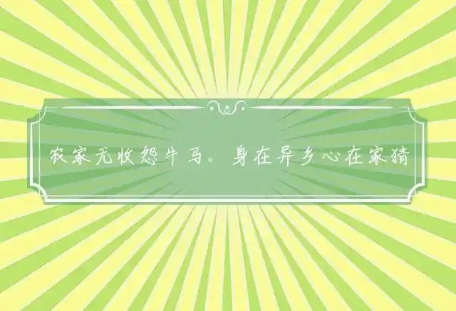 农家无收怨牛马。身在异乡心在家是什么生肖