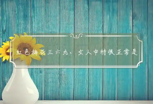 红色梅花三六九,女人中特很正常是什么生肖