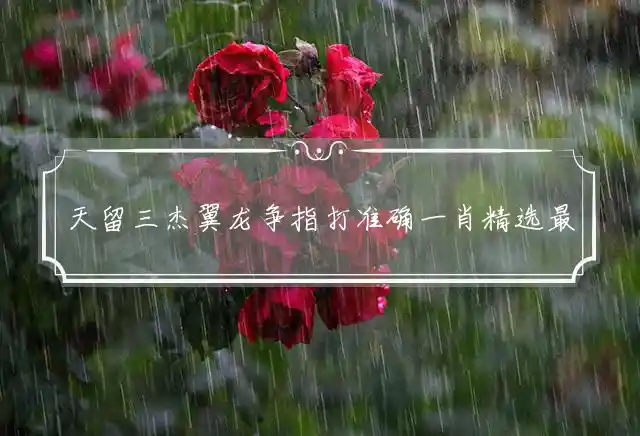 天留三杰翼龙争