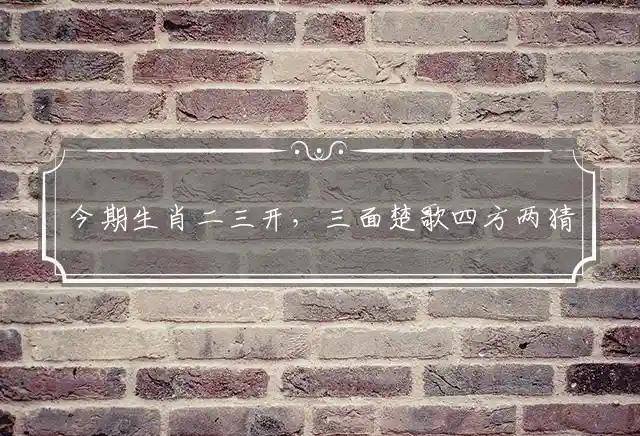 今期生肖二三开,三面楚歌四方两