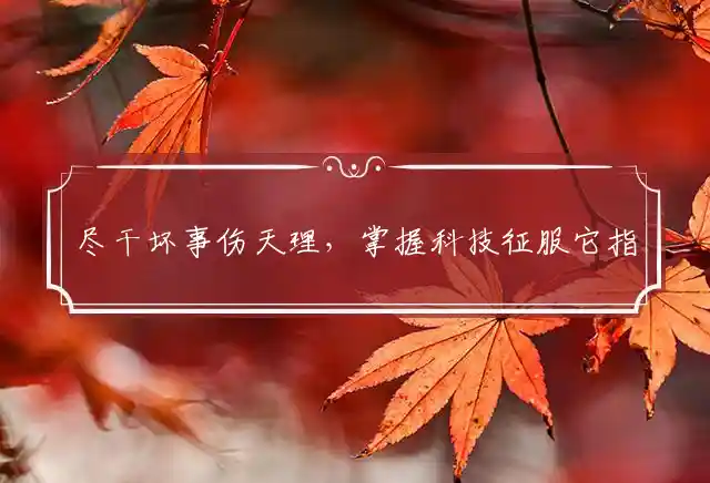 尽干坏事伤天理,掌握科技征服它