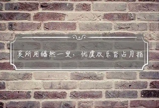 奚所用皤然一叟,忧虞欢乐皆占月