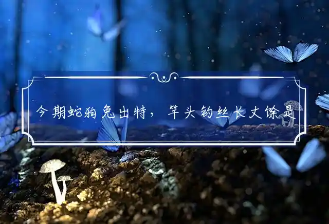 今期蛇狗兔出特,竿头钓丝长丈馀